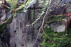 römischer Steinbruch Hohe Buche bei Andernach